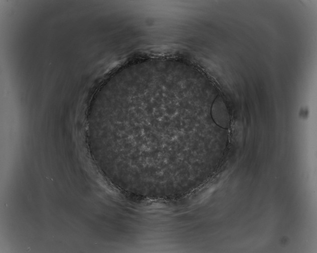 X0000101480913200807141411