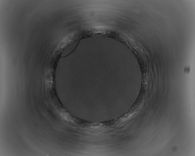 X0000101480916200807141411