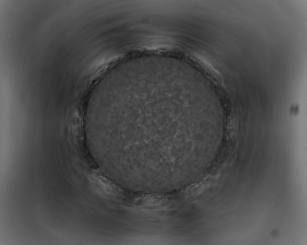 X0000101480917200807141411