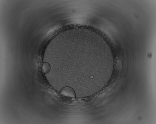 X0000101480918200807141411