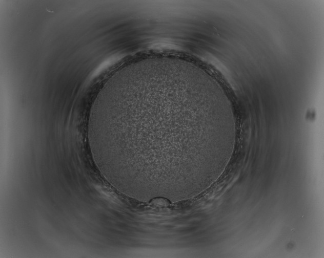 X0000101480919200807141411