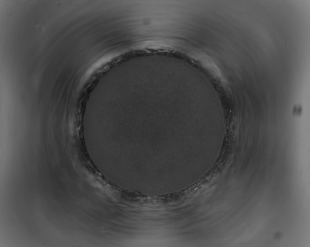 X0000101480920200807141411