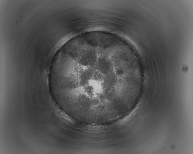 X0000101480921200807141411