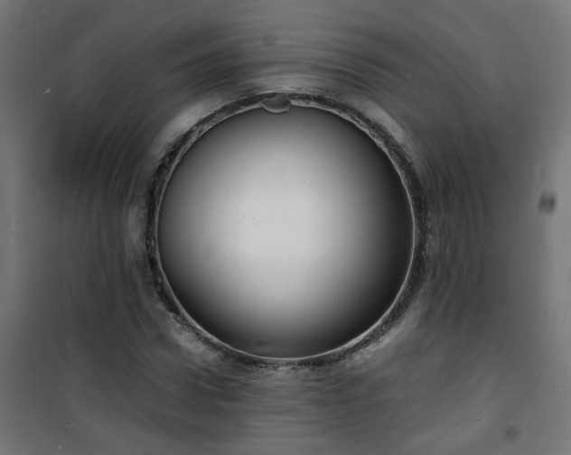 X0000101480922200807141411