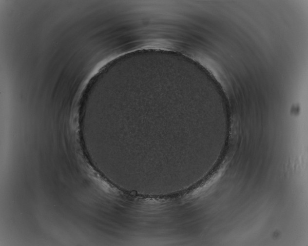X0000101480923200807141411