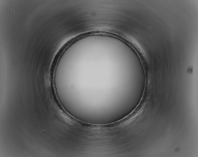 X0000101480924200807141411