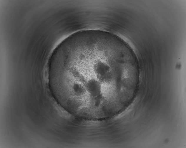 X0000101480925200807141411