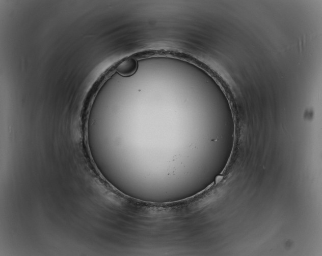 X0000101480927200807141411
