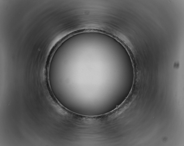 X0000101480928200807141411
