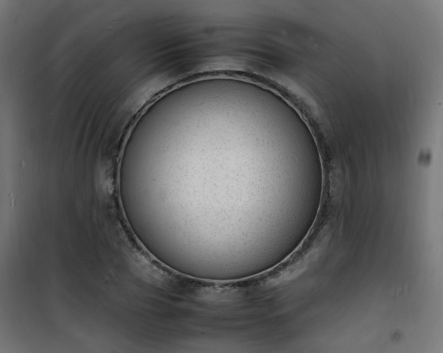 X0000101480929200807141411