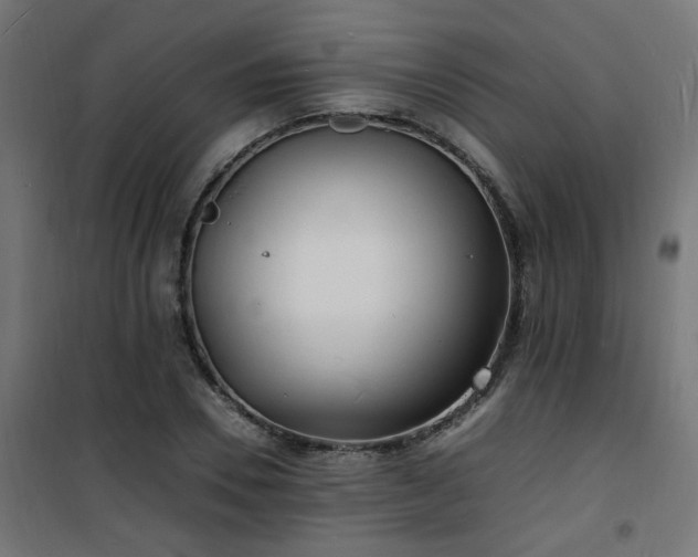 X0000101480930200807141411