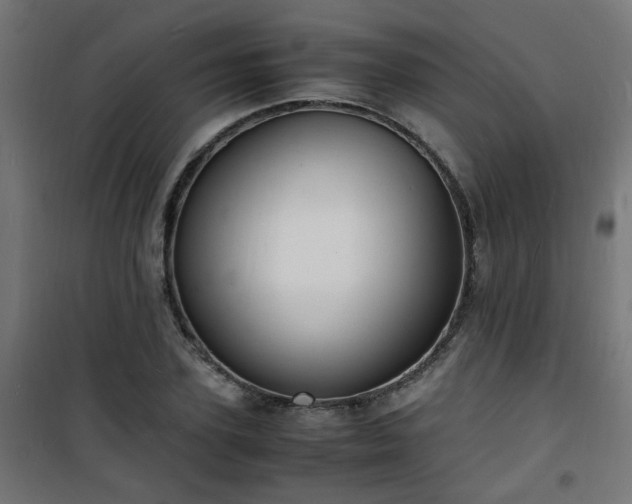 X0000101480931200807141411