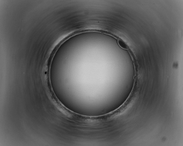 X0000101480933200807141411