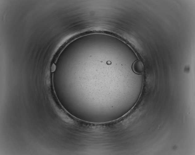 X0000101480934200807141411