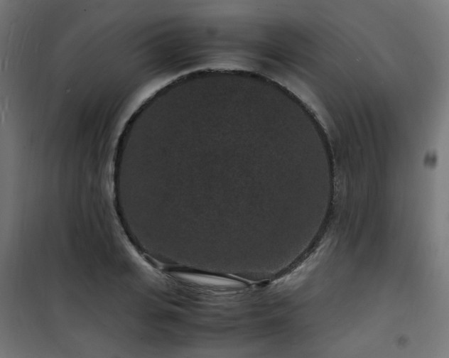 X0000101480935200807141411