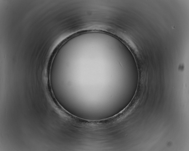 X0000101480936200807141411