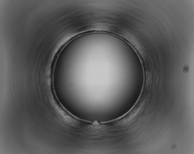 X0000101480939200807141411