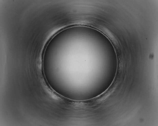 X0000101480940200807141411