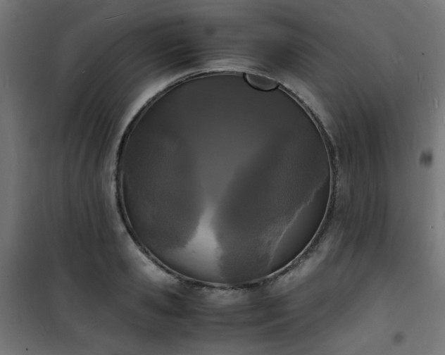 X0000101480941200807141411