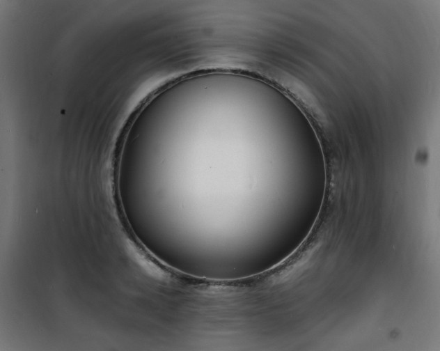X0000101480942200807141411
