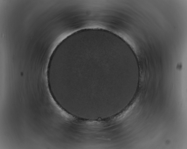 X0000101480943200807141411