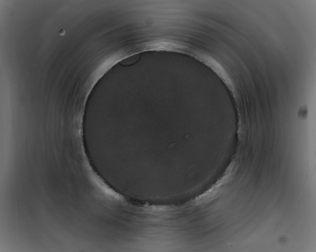 X0000101480946200807141411