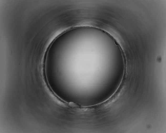 X0000101480949200807141411