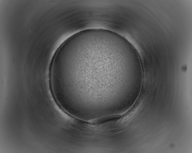 X0000101480951200807141411