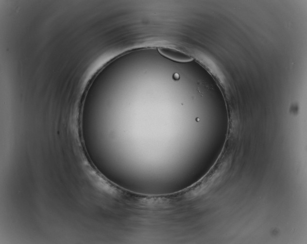 X0000101480952200807141411
