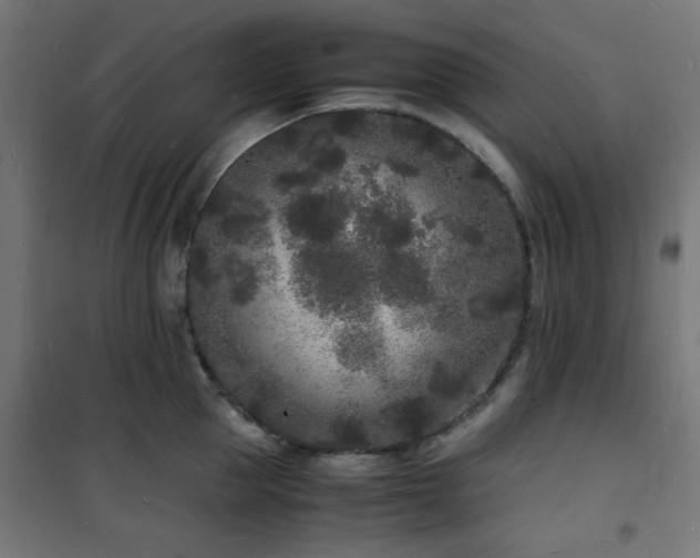 X0000101480953200807141412