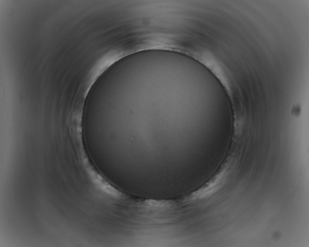 X0000101480954200807141412