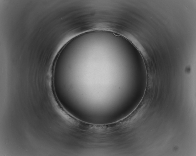 X0000101480955200807141412