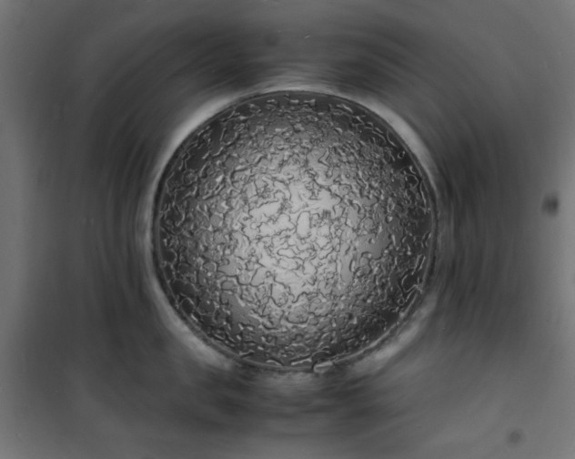X0000101480957200807141412