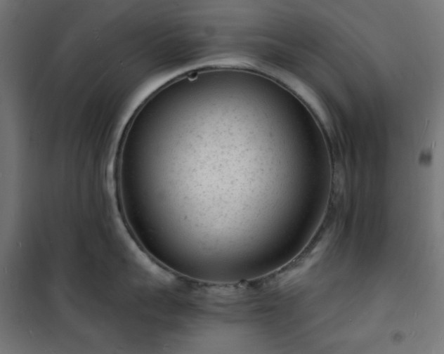 X0000101480959200807141412