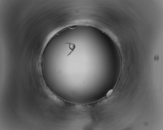 X0000101480960200807141412