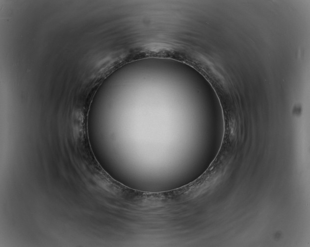 X0000101480964200807141411
