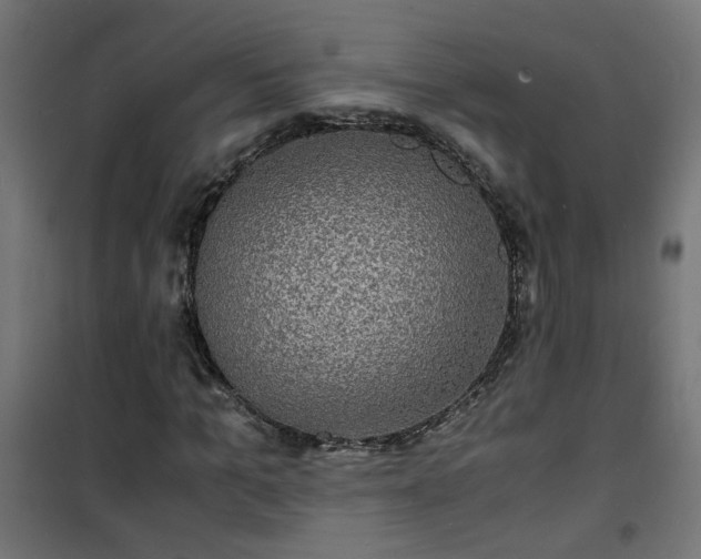 X0000101480965200807141411