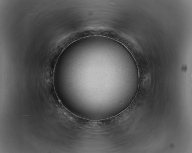 X0000101480966200807141411