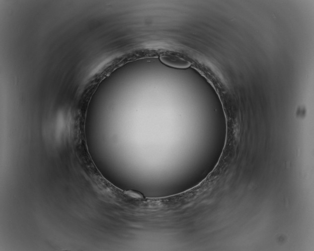 X0000101480968200807141411