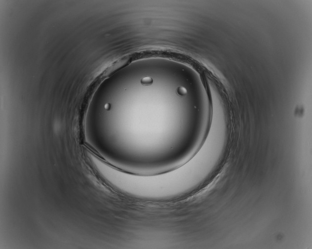 X0000101480969200807141411