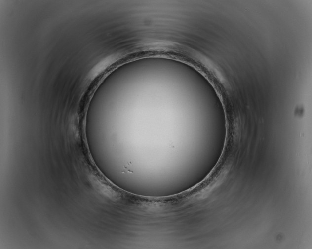 X0000101480970200807141411
