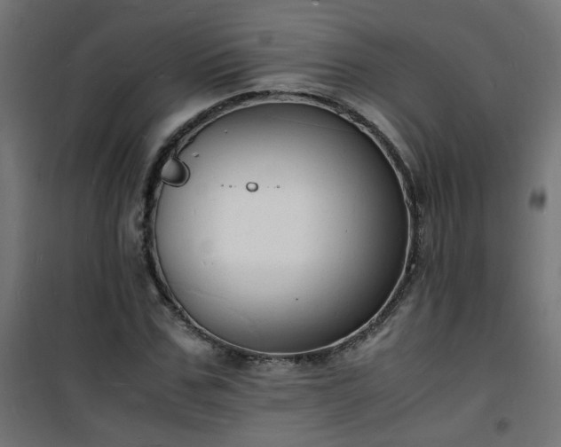 X0000101480971200807141411