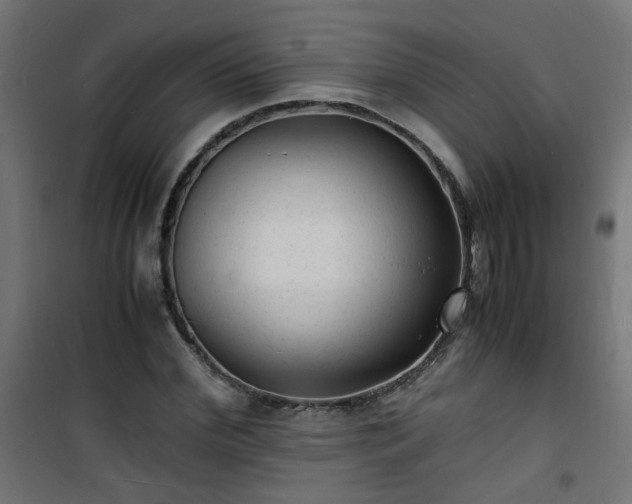 X0000101480972200807141411