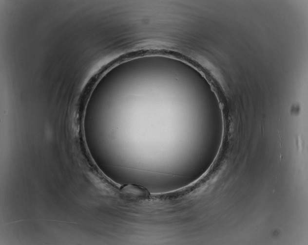 X0000101480973200807141411