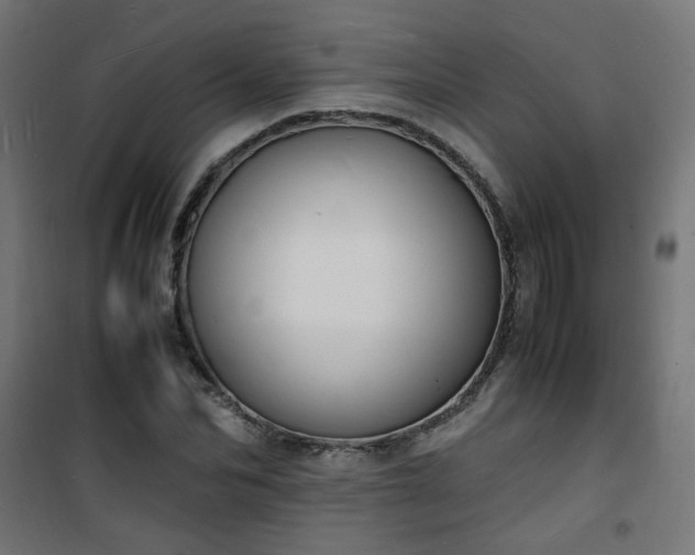 X0000101480974200807141411