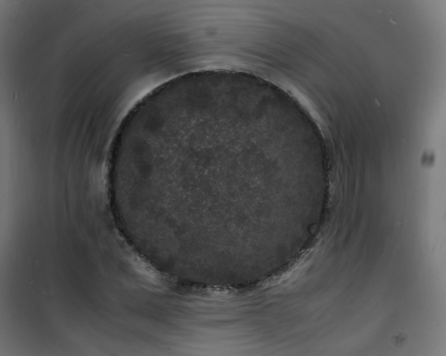 X0000101480975200807141411
