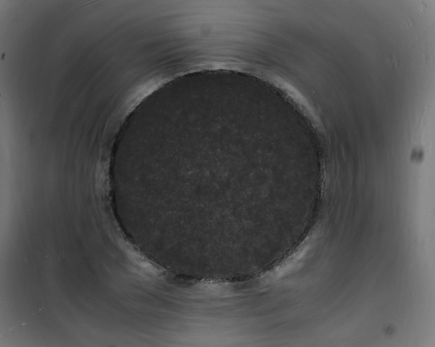 X0000101480977200807141411