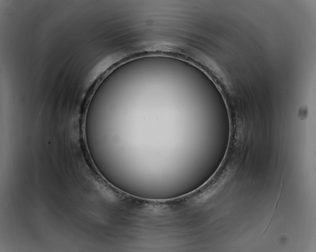 X0000101480978200807141411