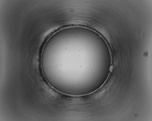 X0000101480979200807141411
