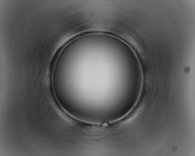 X0000101480981200807141411